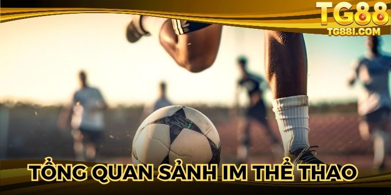 Tổng quan về sảnh game IM thể thao